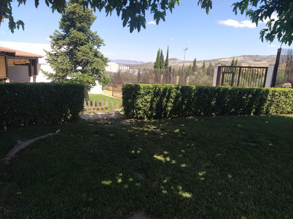 Casa Rural Alamillo 루크 외부 사진