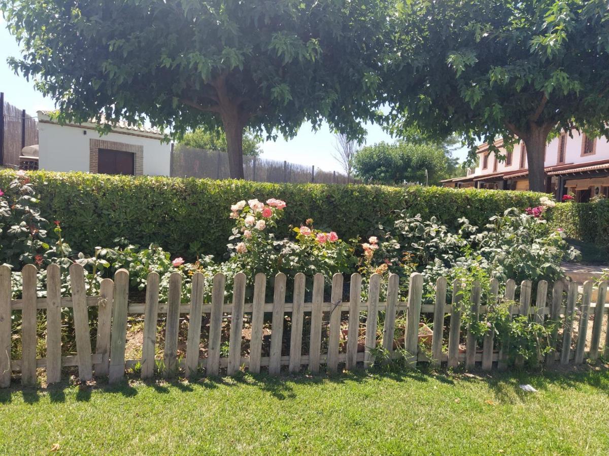 Casa Rural Alamillo 루크 외부 사진