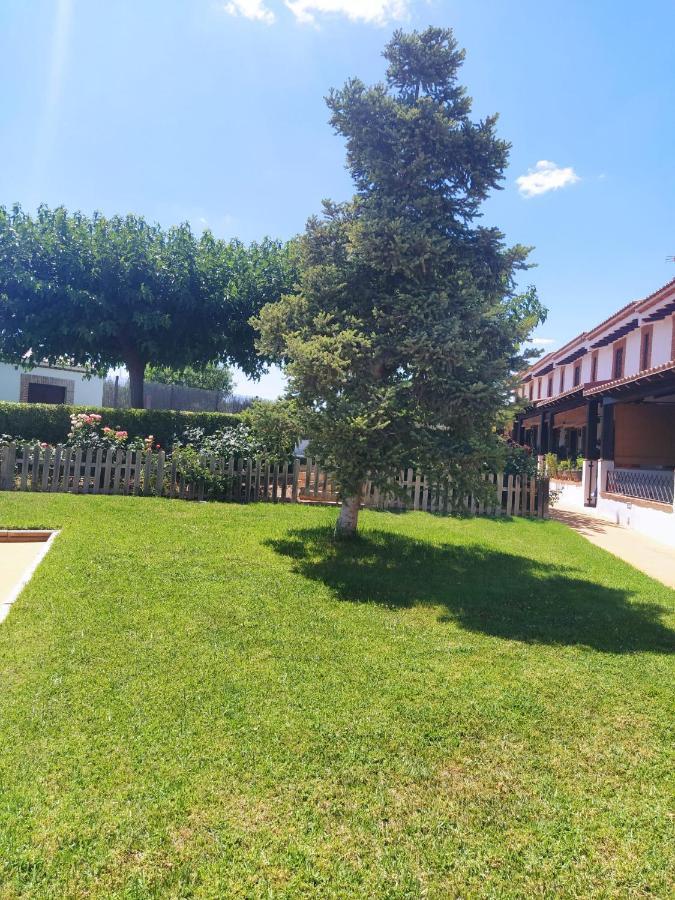 Casa Rural Alamillo 루크 외부 사진
