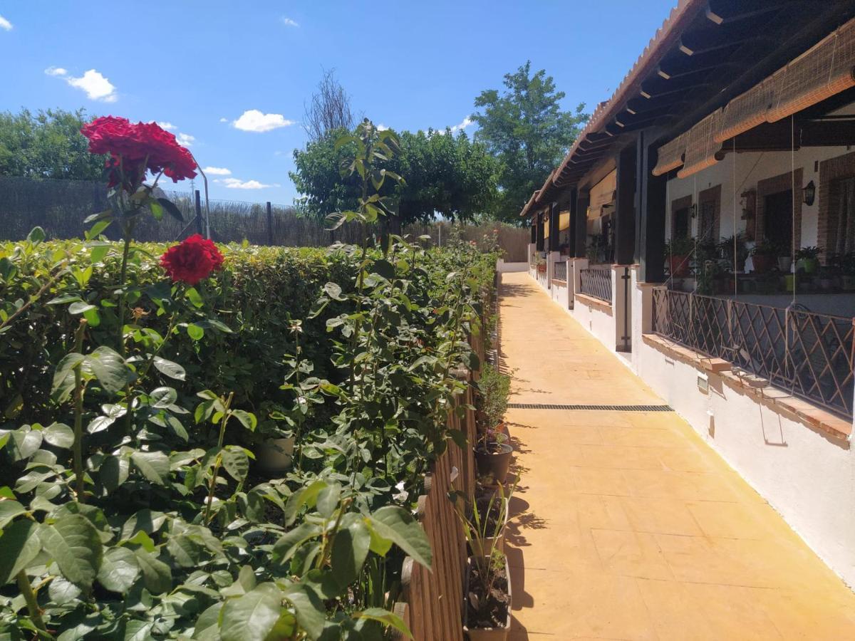 Casa Rural Alamillo 루크 외부 사진